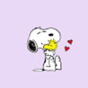 Meet your Posher, Bobbie